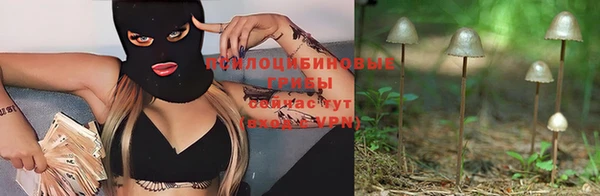бутик Аркадак