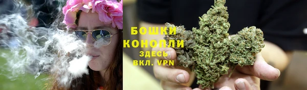 PSILOCYBIN Армянск