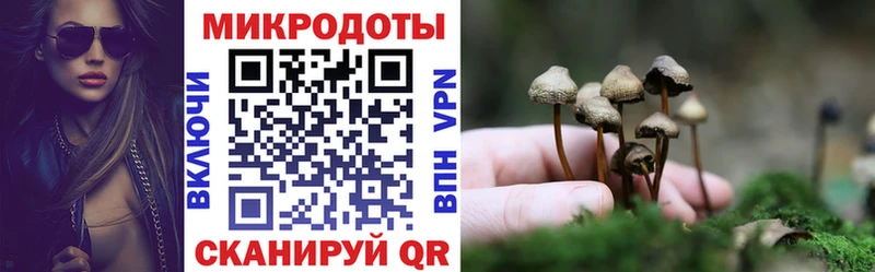 Галлюциногенные грибы ЛСД  Нижняя Тура 